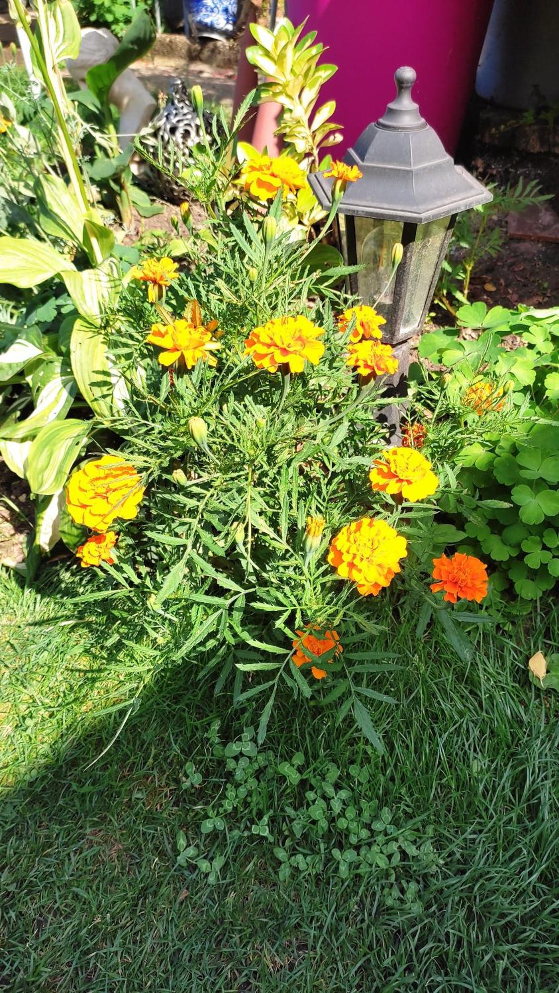 Un Deux Pieces Et Un Jardin A Villejuif Bagian luar foto