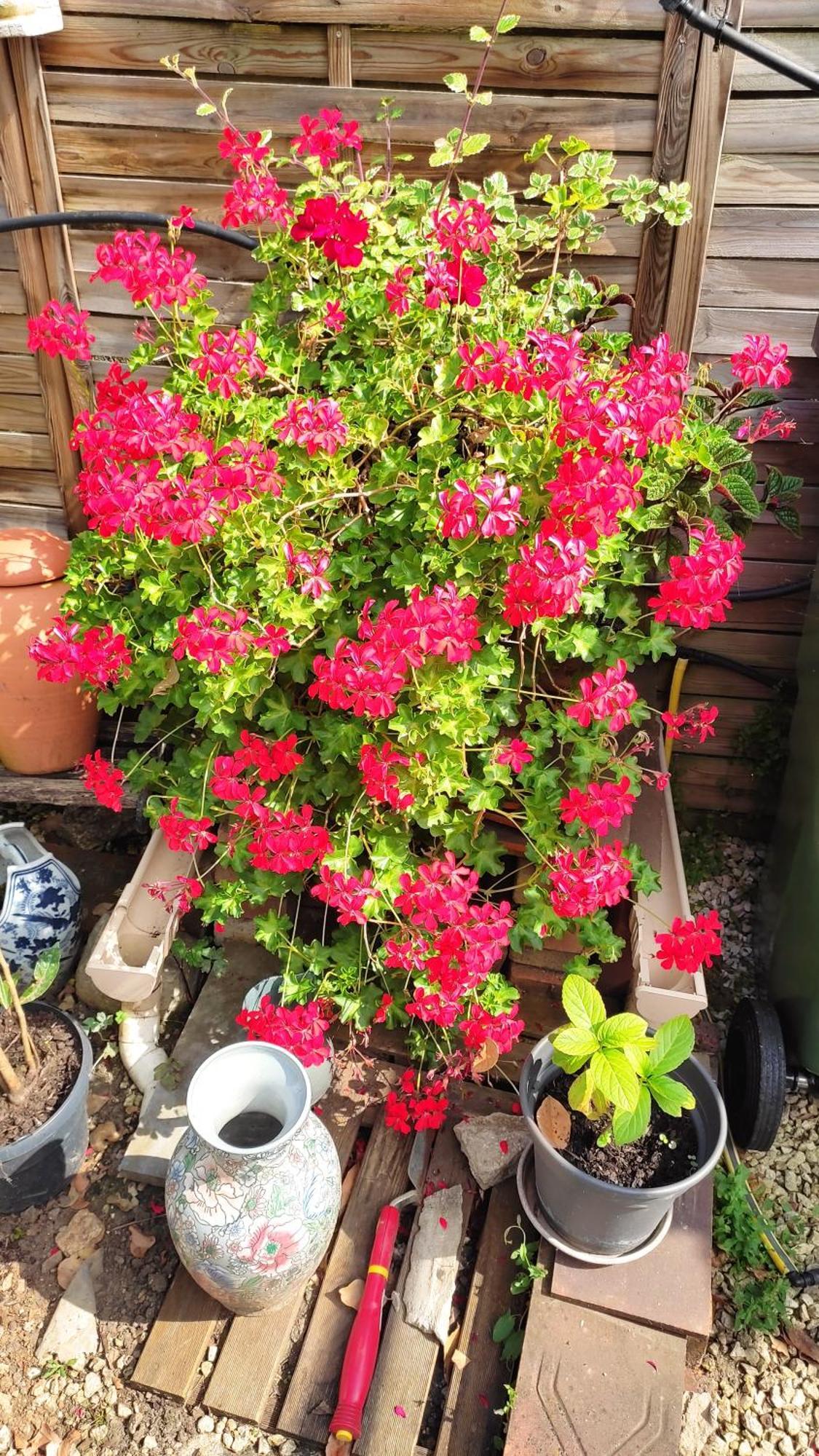 Un Deux Pieces Et Un Jardin A Villejuif Bagian luar foto