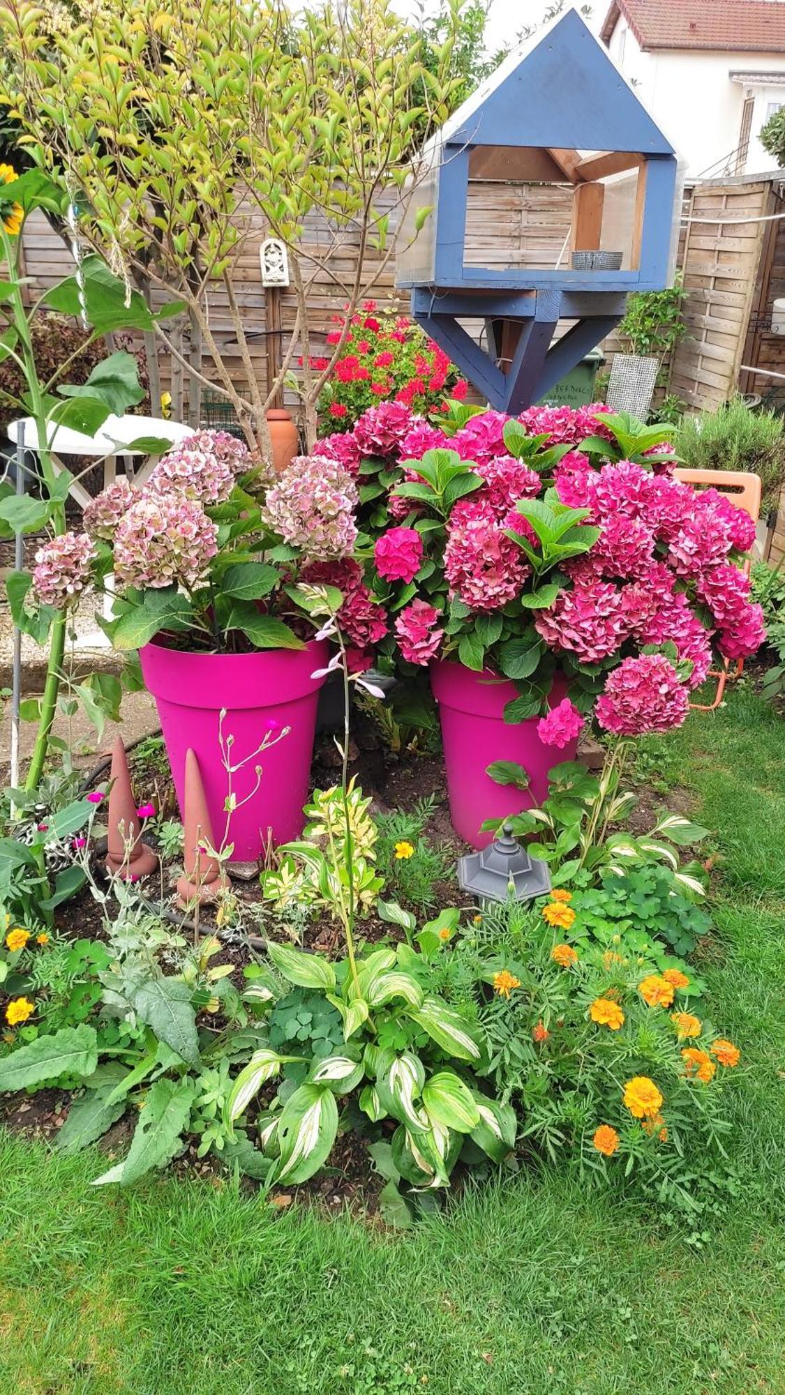 Un Deux Pieces Et Un Jardin A Villejuif Bagian luar foto